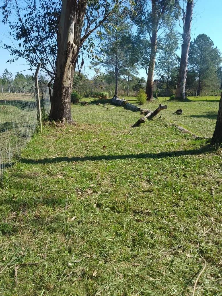 Lote en venta