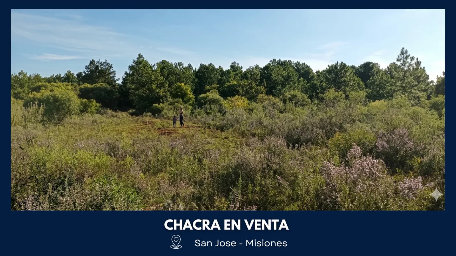 Chacra Productiva de 25 Hectáreas en Venta – San José, Misiones