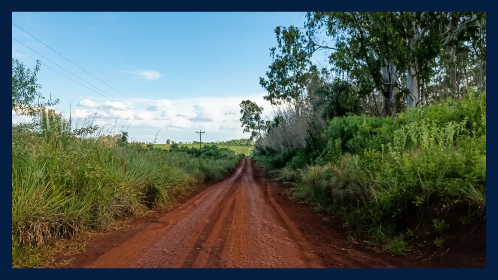 Chacra Productiva de 25 Hectáreas en Venta – San José, Misiones