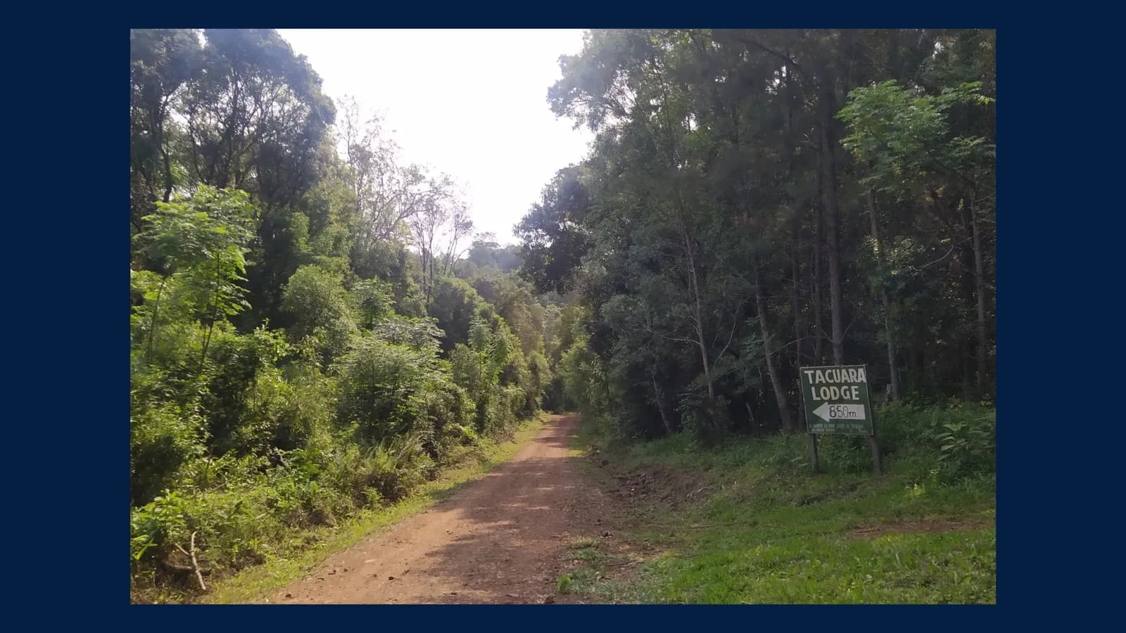 Complejo Turistico en La Selva Misionera en VENTA