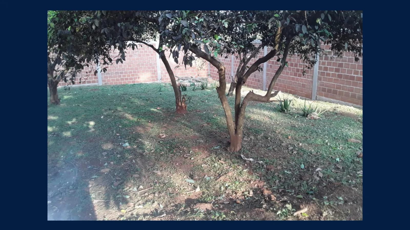 2 Terrenos Baldios en VENTA – (En Esquina con Muro)