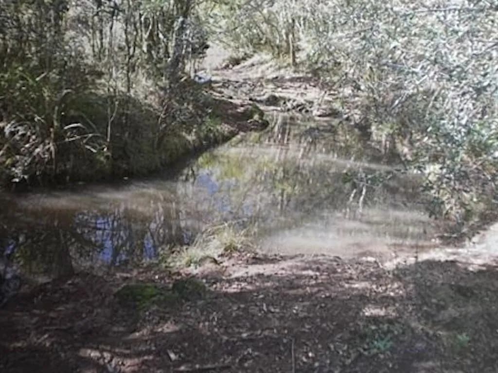 VENDO terreno en Cerro Cora de 100 Ha a 30 min de posadas