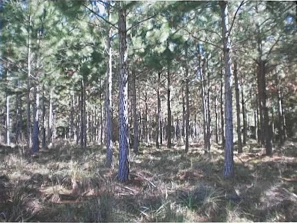 VENDO terreno en Cerro Cora de 100 Ha a 30 min de posadas