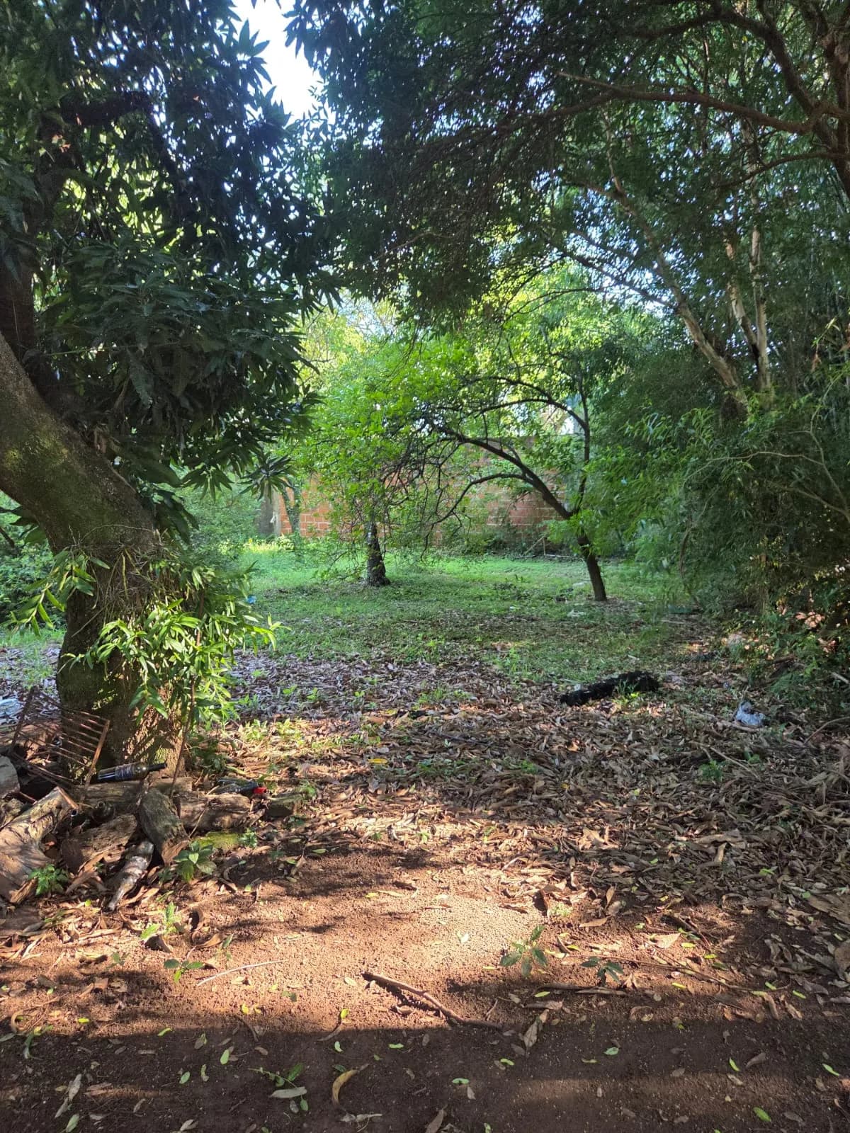 TERRENO C/CASA A RECICLAR