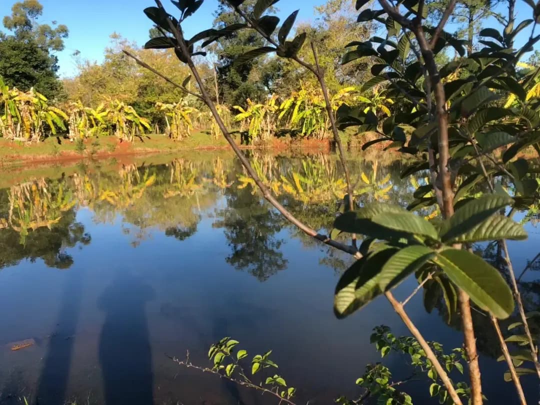 EMPRENDIMIENTO TURISTICO