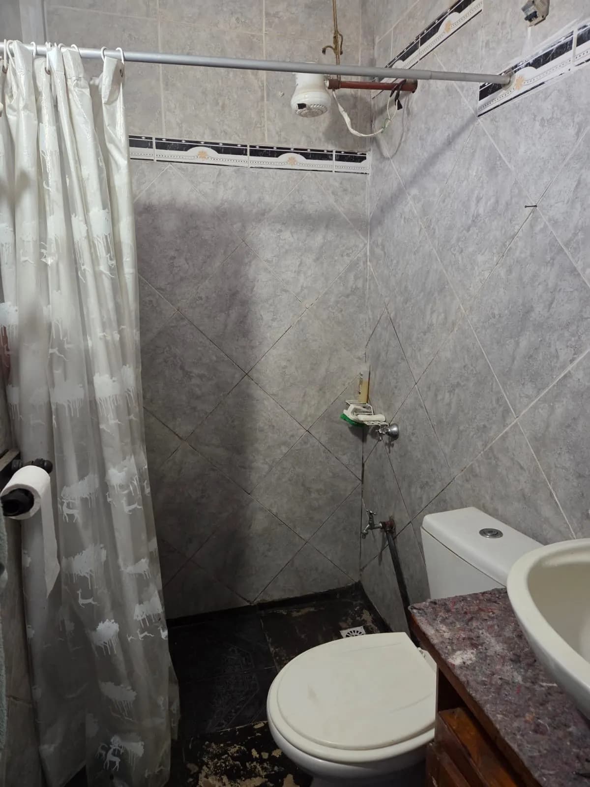 DEPARTAMENTOS Y LOCAL COMERCIAL