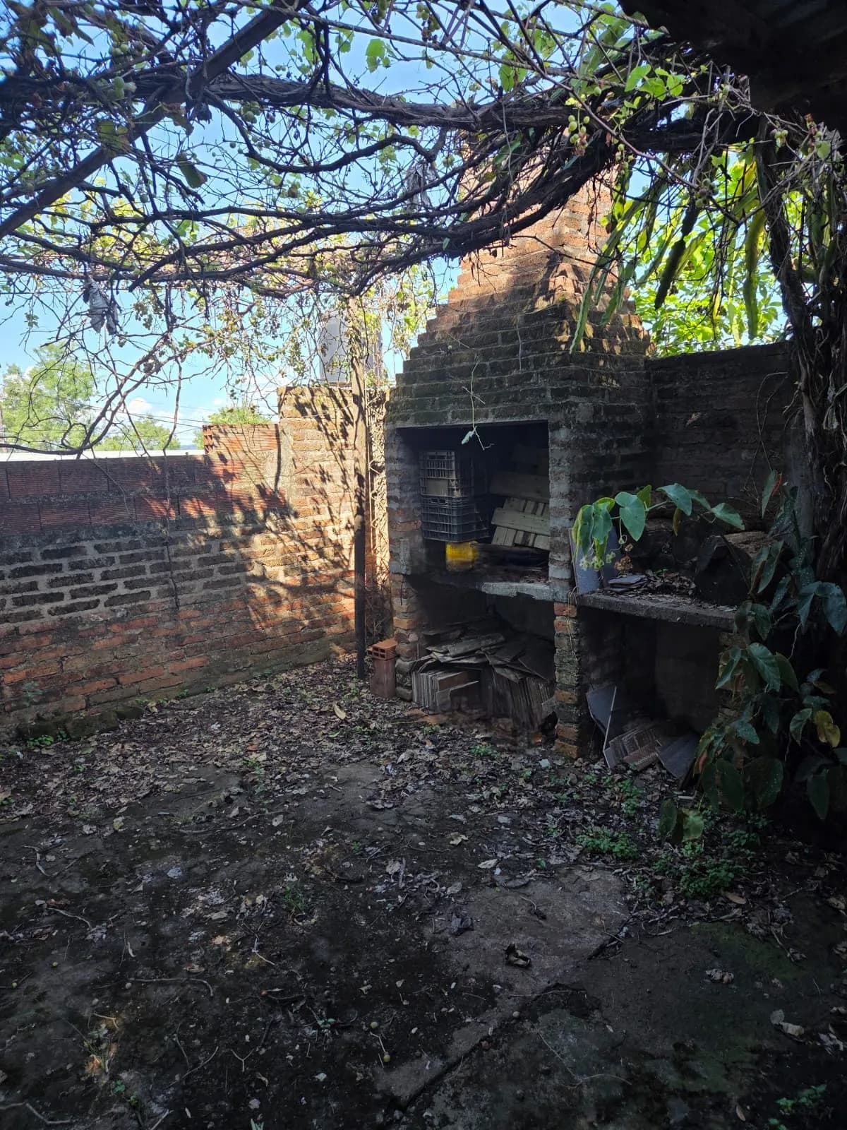 CASA