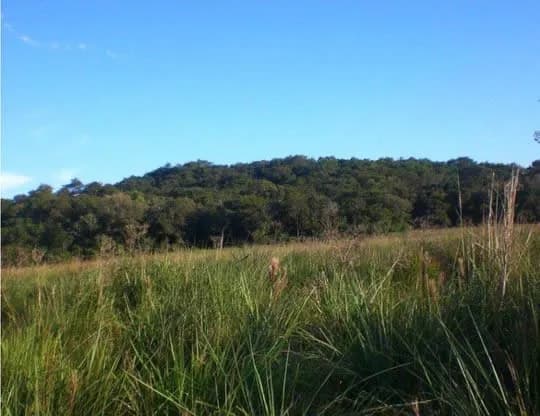 VENDO CAMPO EN SANTA ANA, MISIONES. 31,3 HECTAREAS.
