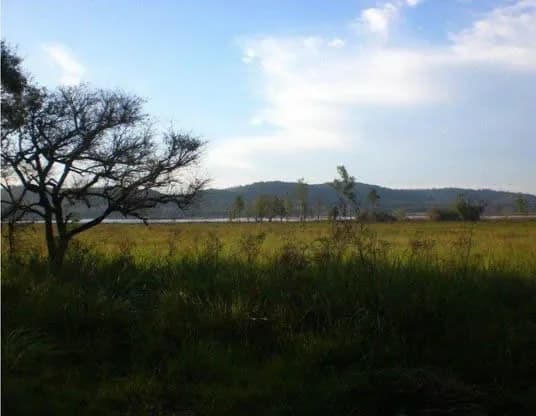 VENDO CAMPO EN SANTA ANA, MISIONES. 31,3 HECTAREAS.