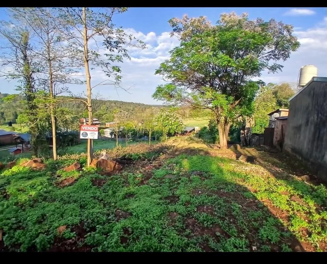 TERRENO EN MONTECARLO
