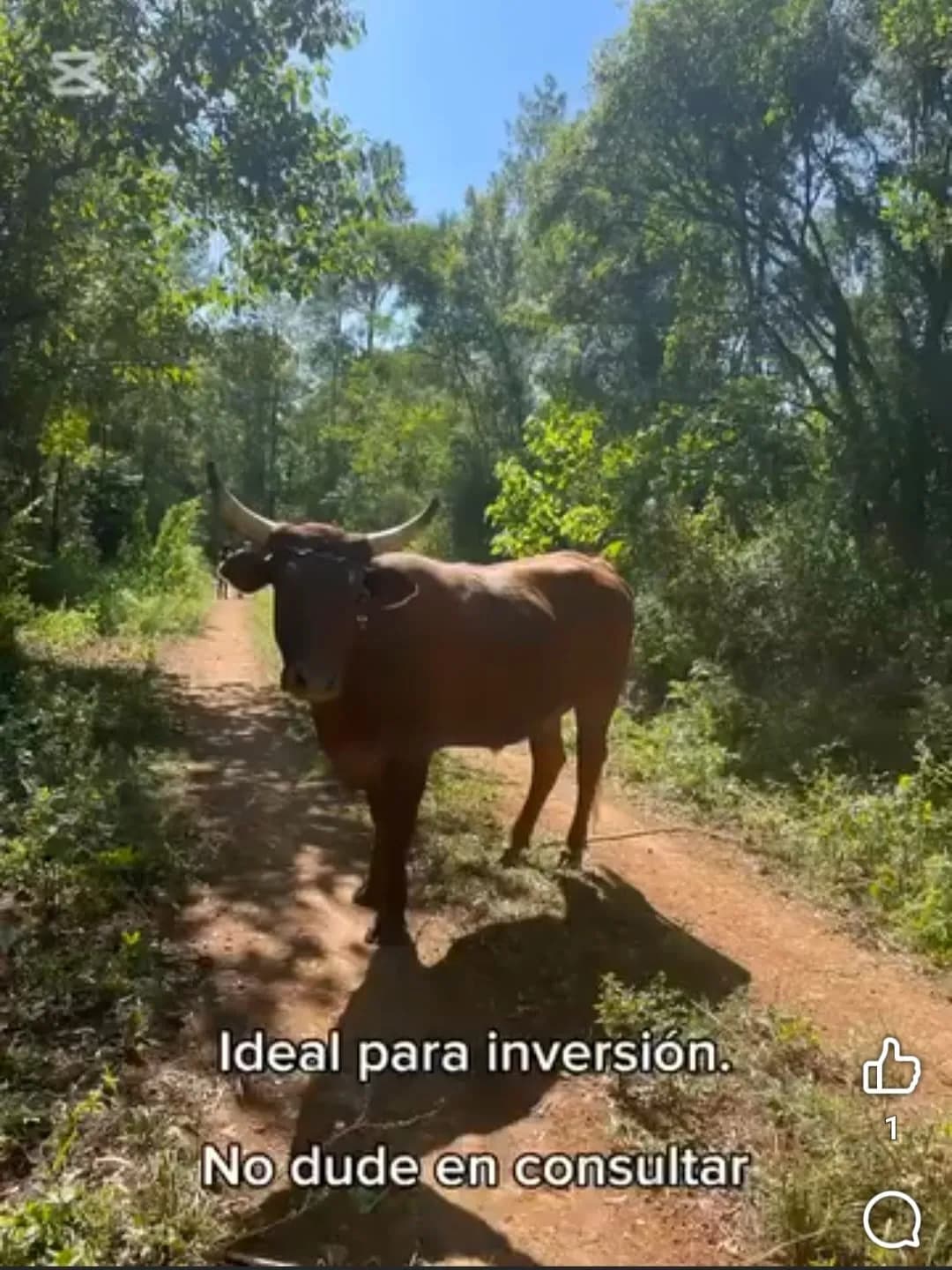 CHACRA 25 Ha. BONPLAND