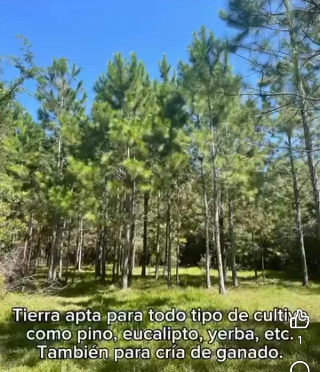 CHACRA 25 Ha. BONPLAND