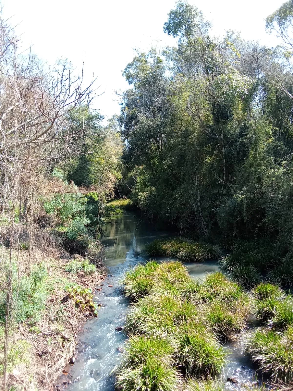 CHACRA en BONPLAND
