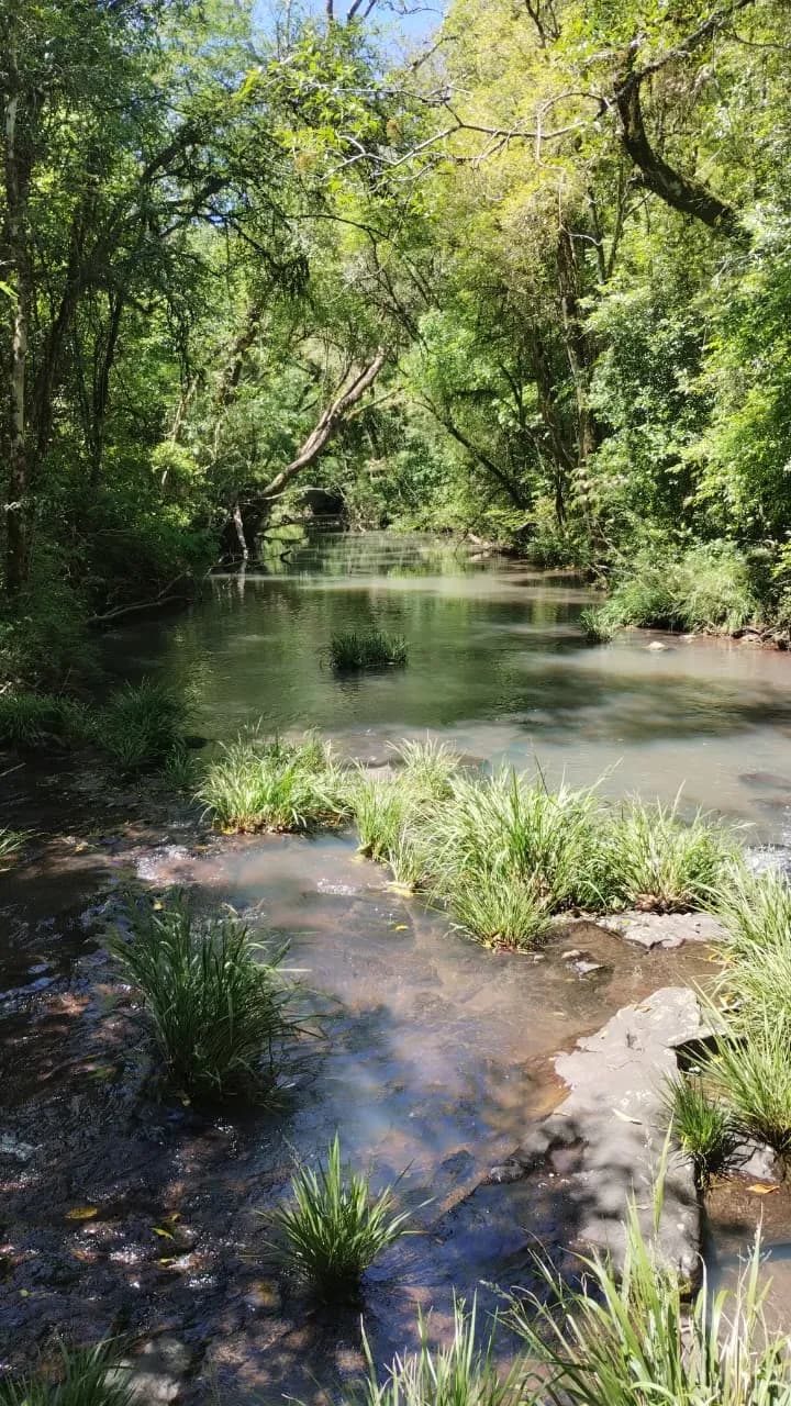 CHACRA en BONPLAND