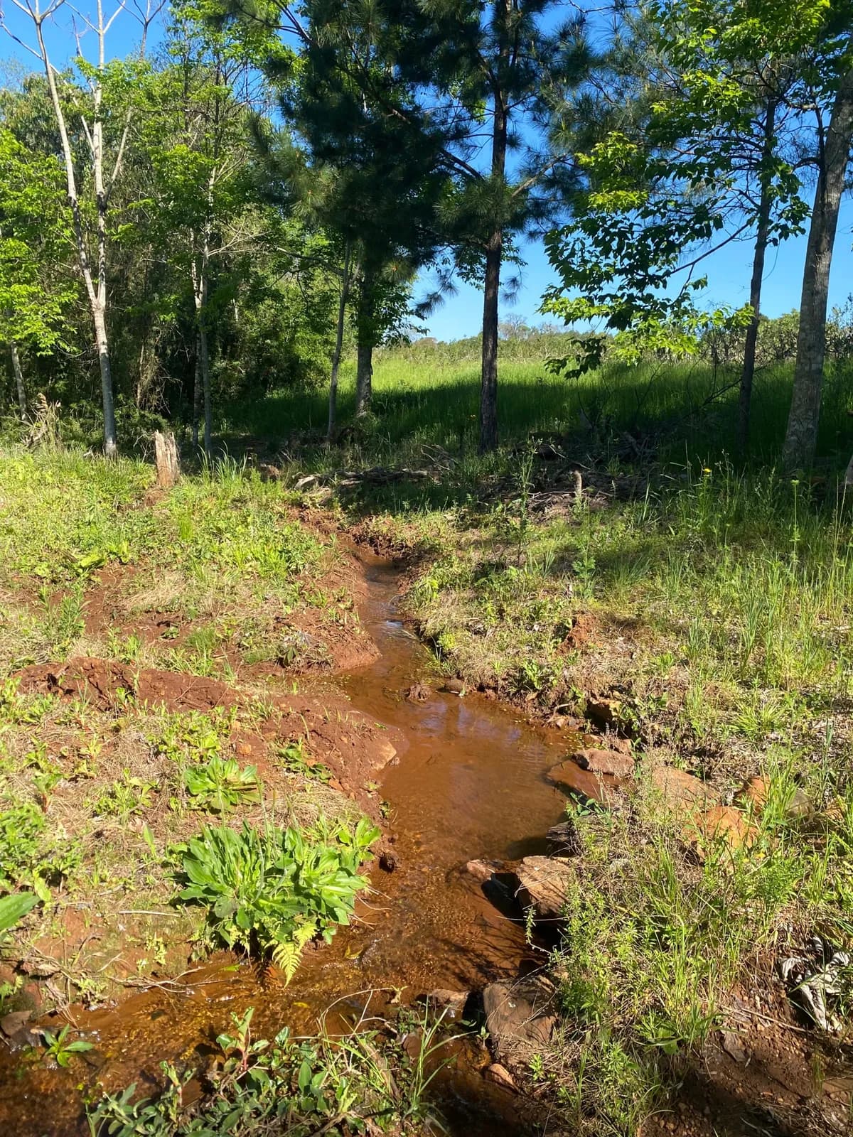 Chacra 22 Hectareas,Dos de Mayo,Misiones