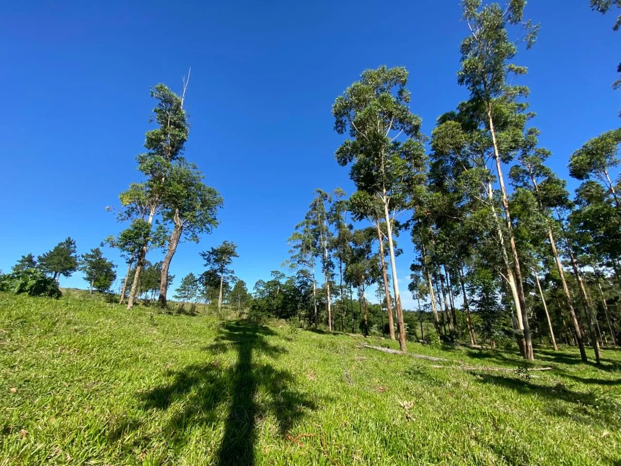 Chacra 20 Hectareas,San Vicente, Misiones