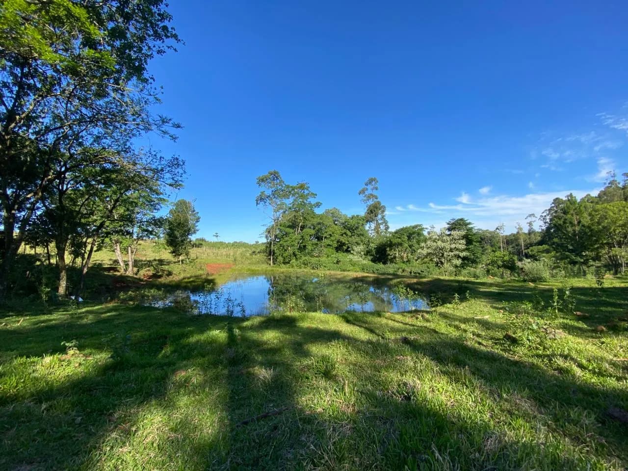 Chacra 20 Hectareas,San Vicente, Misiones