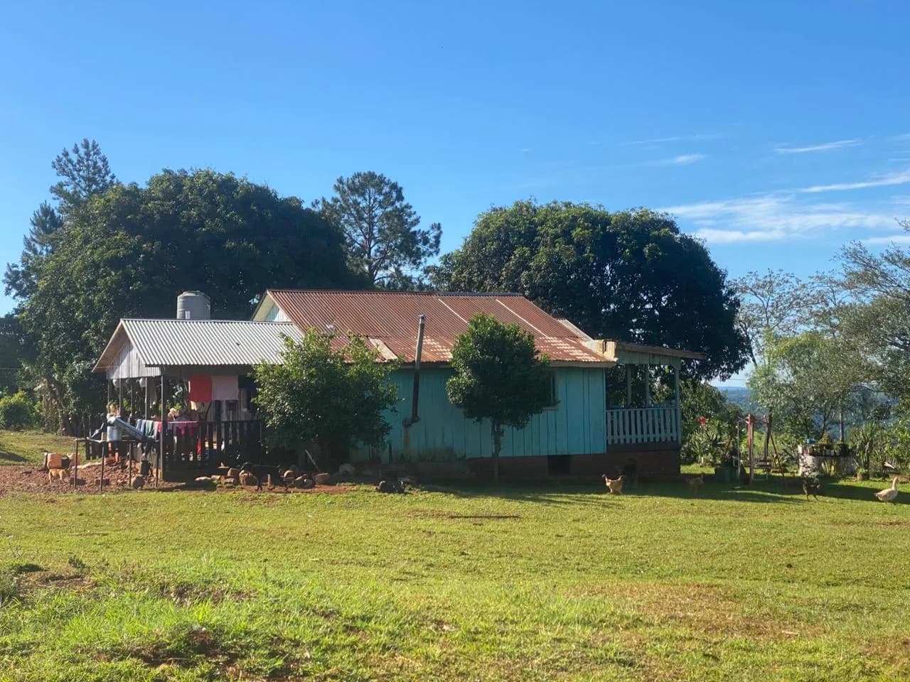 Chacra 20 Hectareas,San Vicente, Misiones