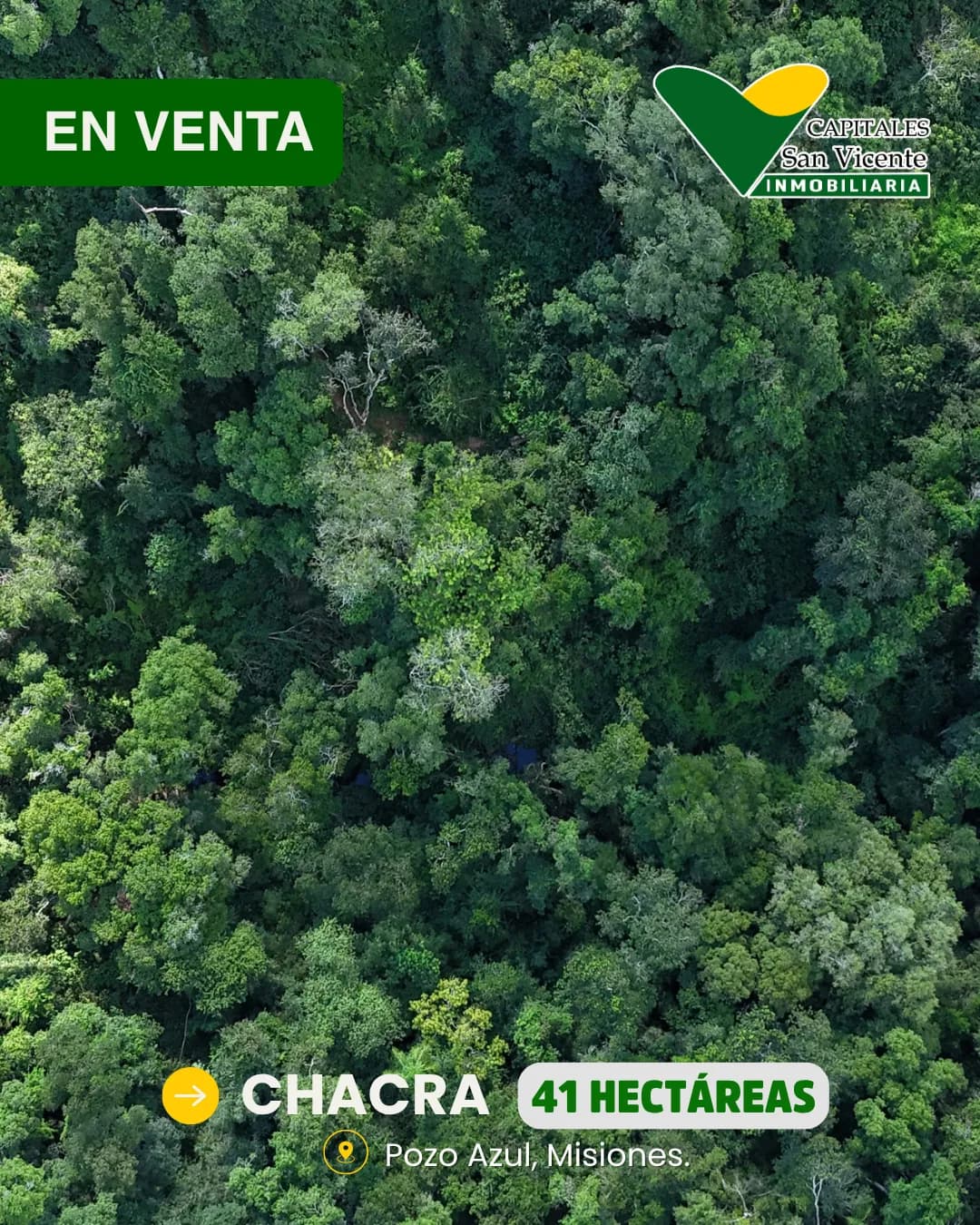 Chacra 41 Hectareas,Pozo Azul, Misiones