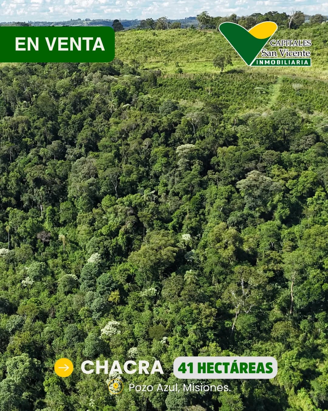 Chacra 41 Hectareas,Pozo Azul, Misiones