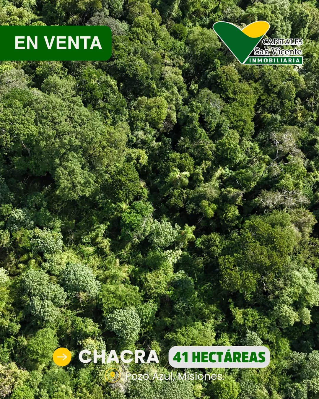 Chacra 41 Hectareas,Pozo Azul, Misiones