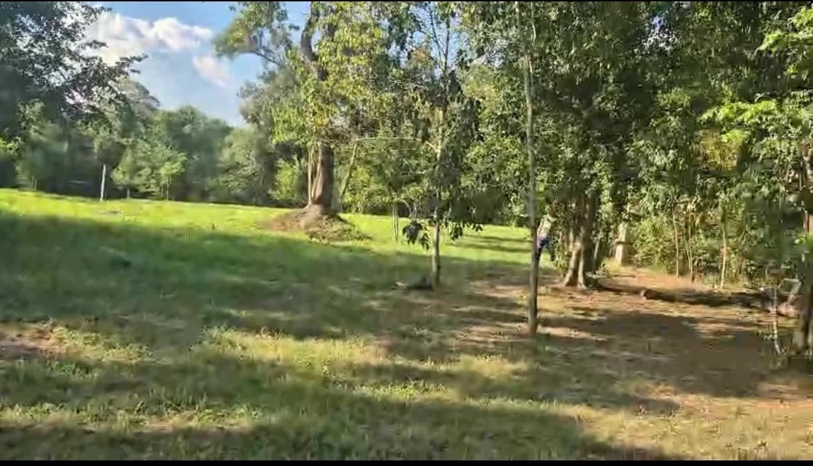 Venta de dos lotes en San Ignacio
