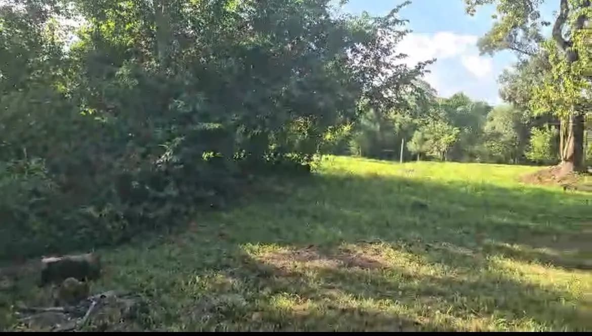 Venta de dos lotes en San Ignacio