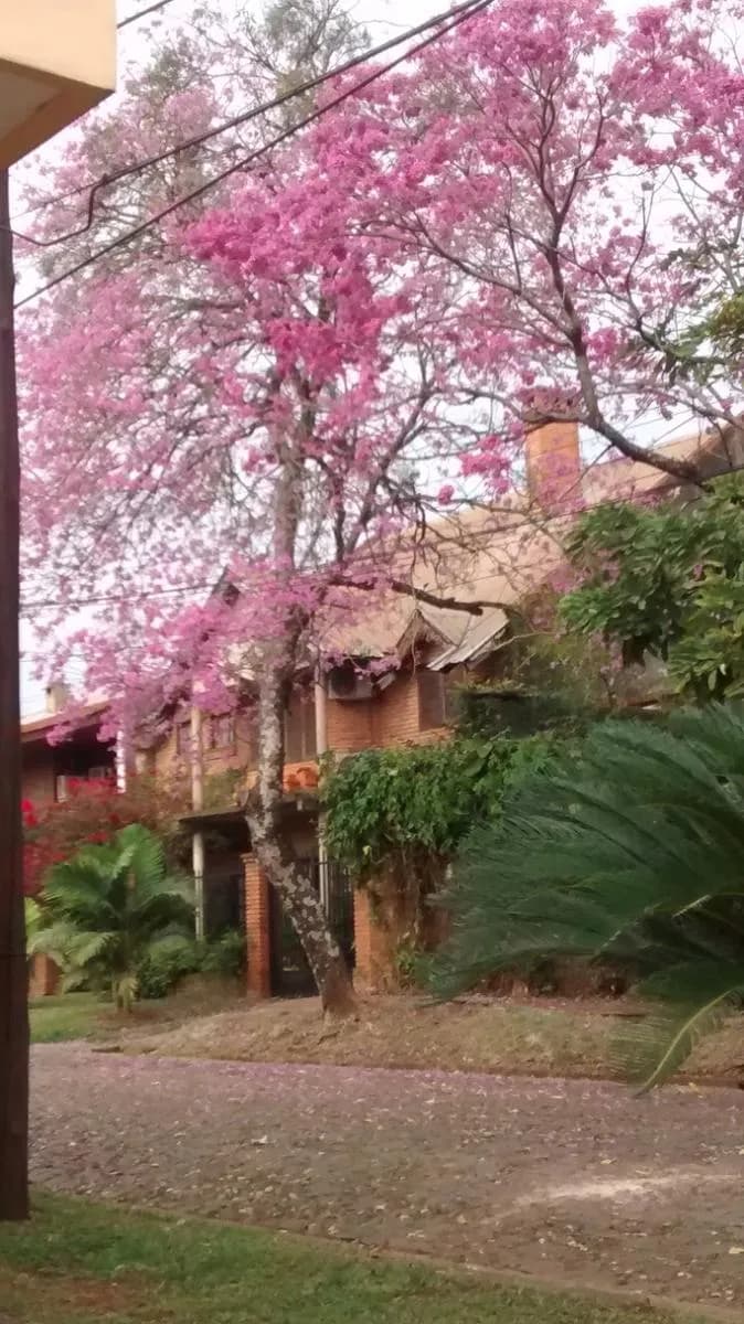Casa en venta en Posadas