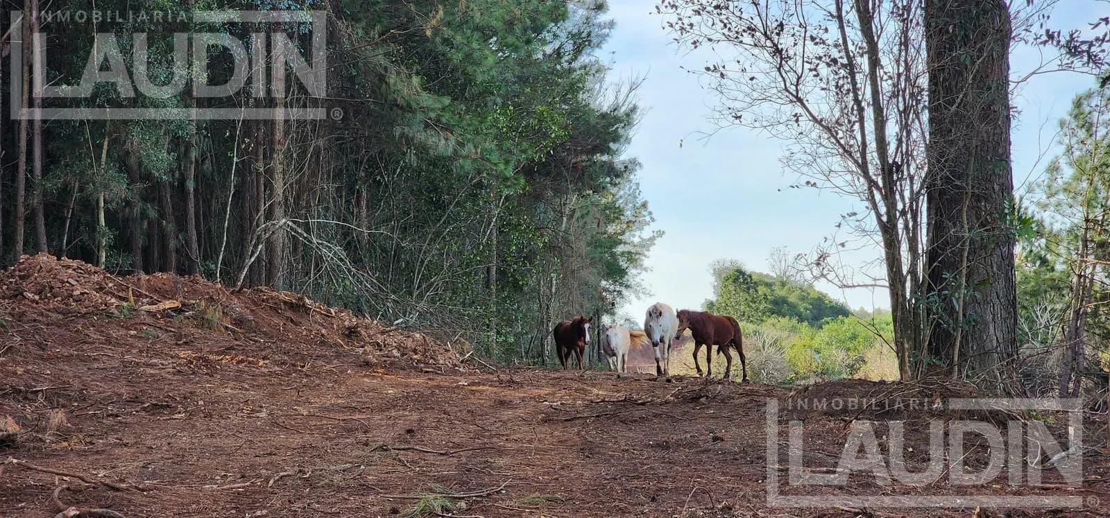 Terreno en venta en Candelaria