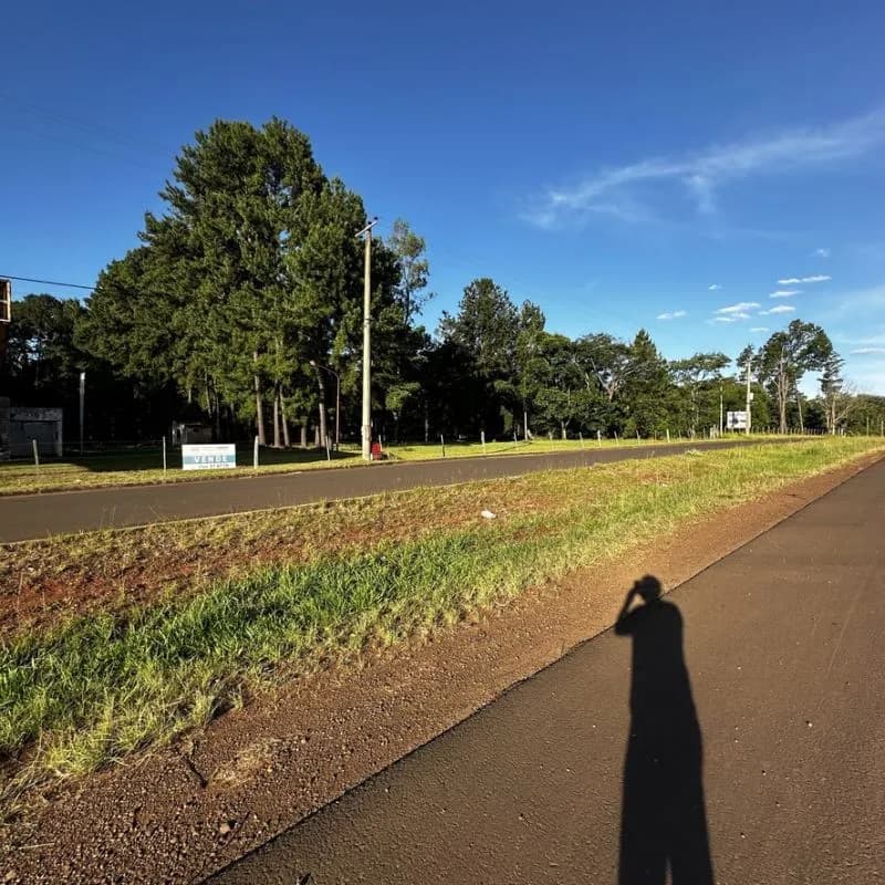Terreno arbolado en venta sobre asfalto
