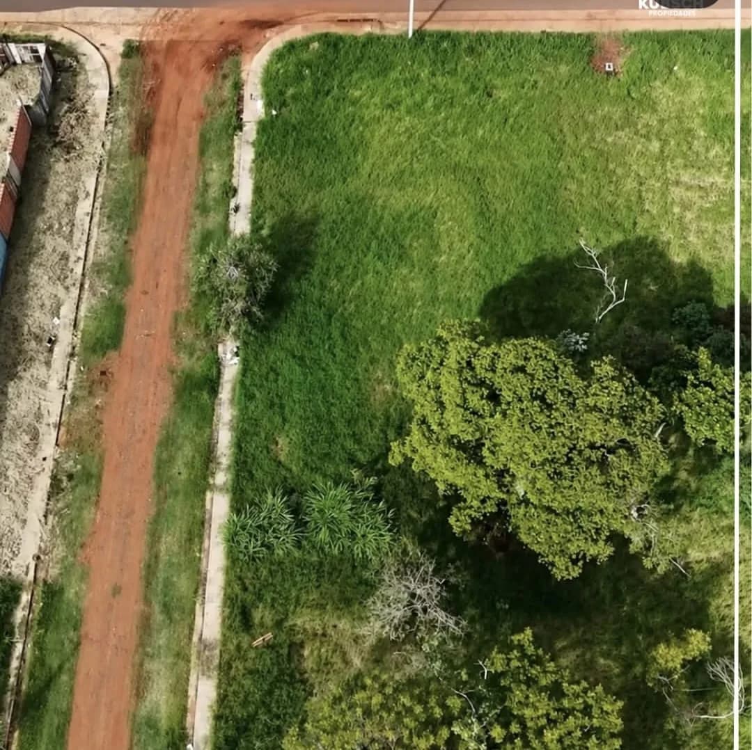 Vista aérea de un terreno verde