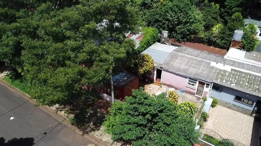Vista aérea de casa con árboles
