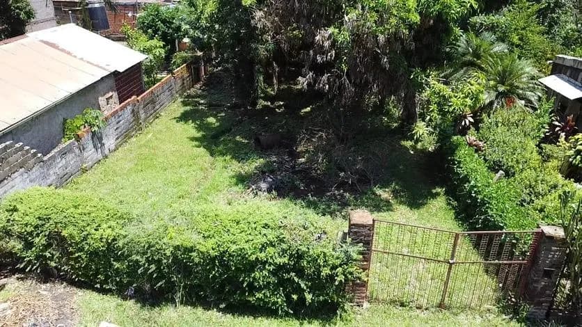 Terreno amplio con abundante vegetación