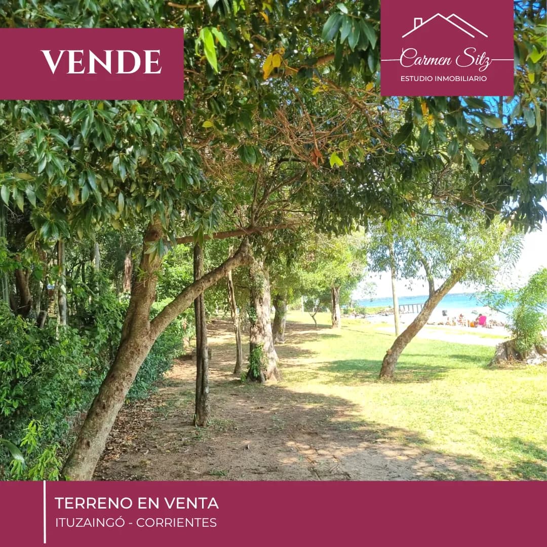 Terreno arbolado frente al río