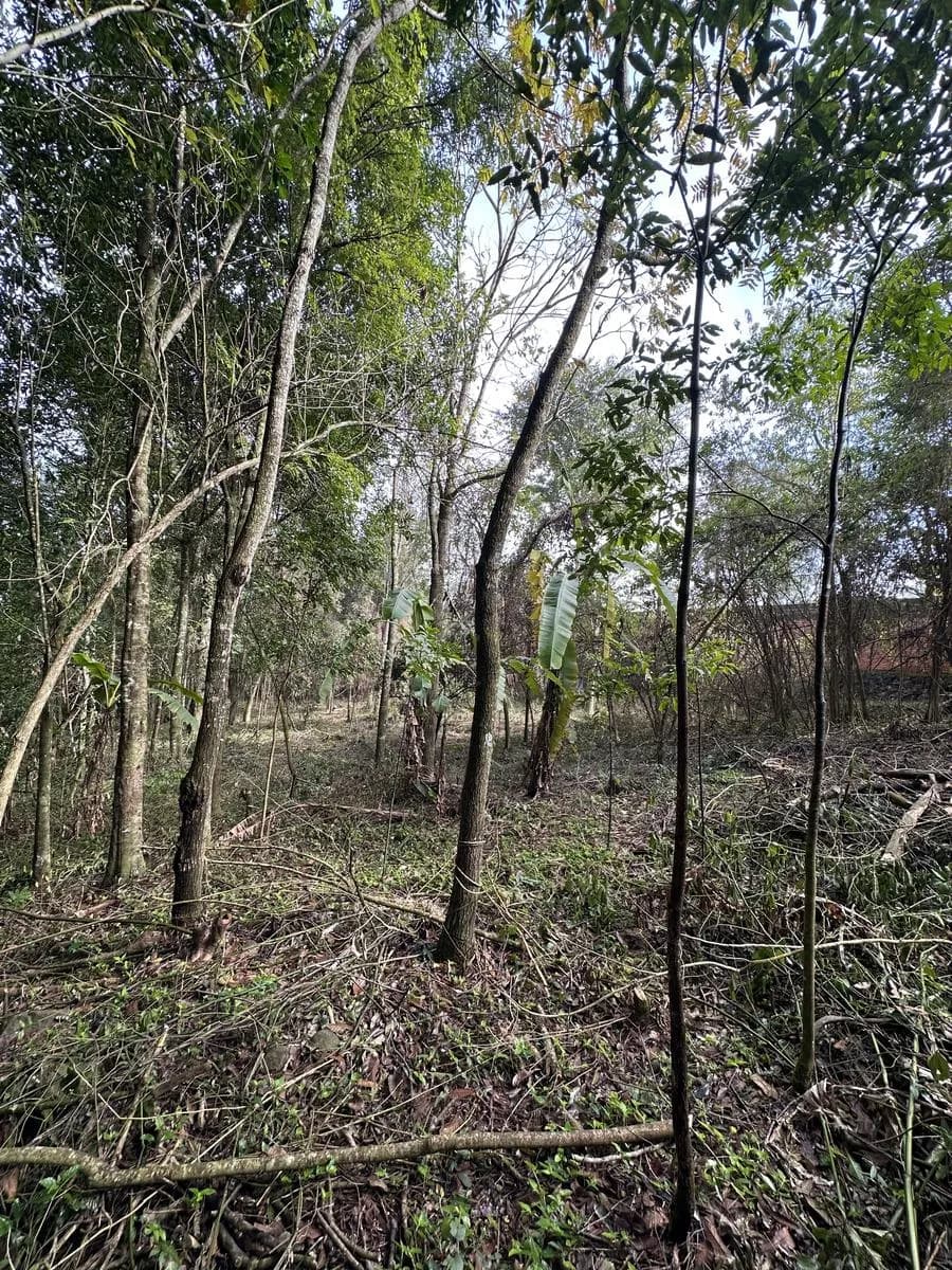 Terreno 20m x 50m - Barrio Agua Potable, El Soberbio