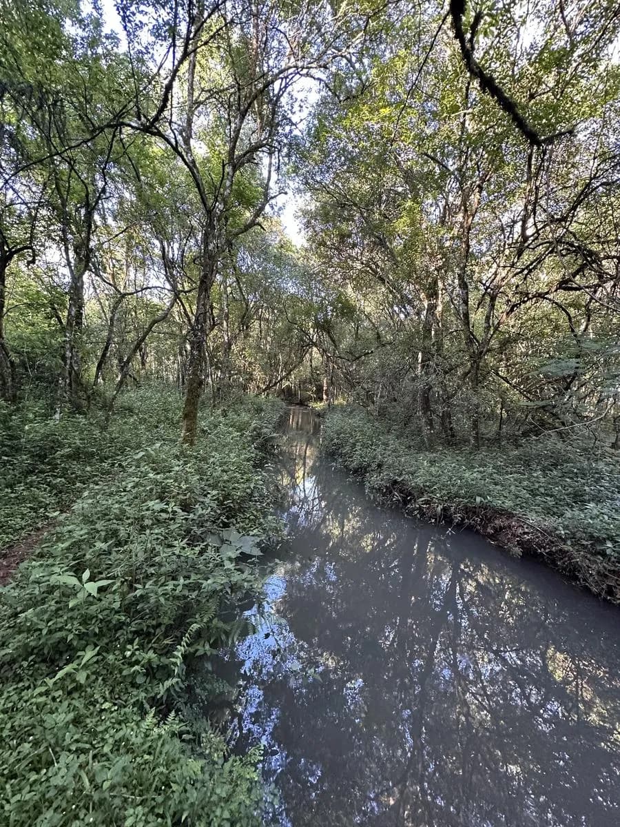 Chacra en venta en San Vicente