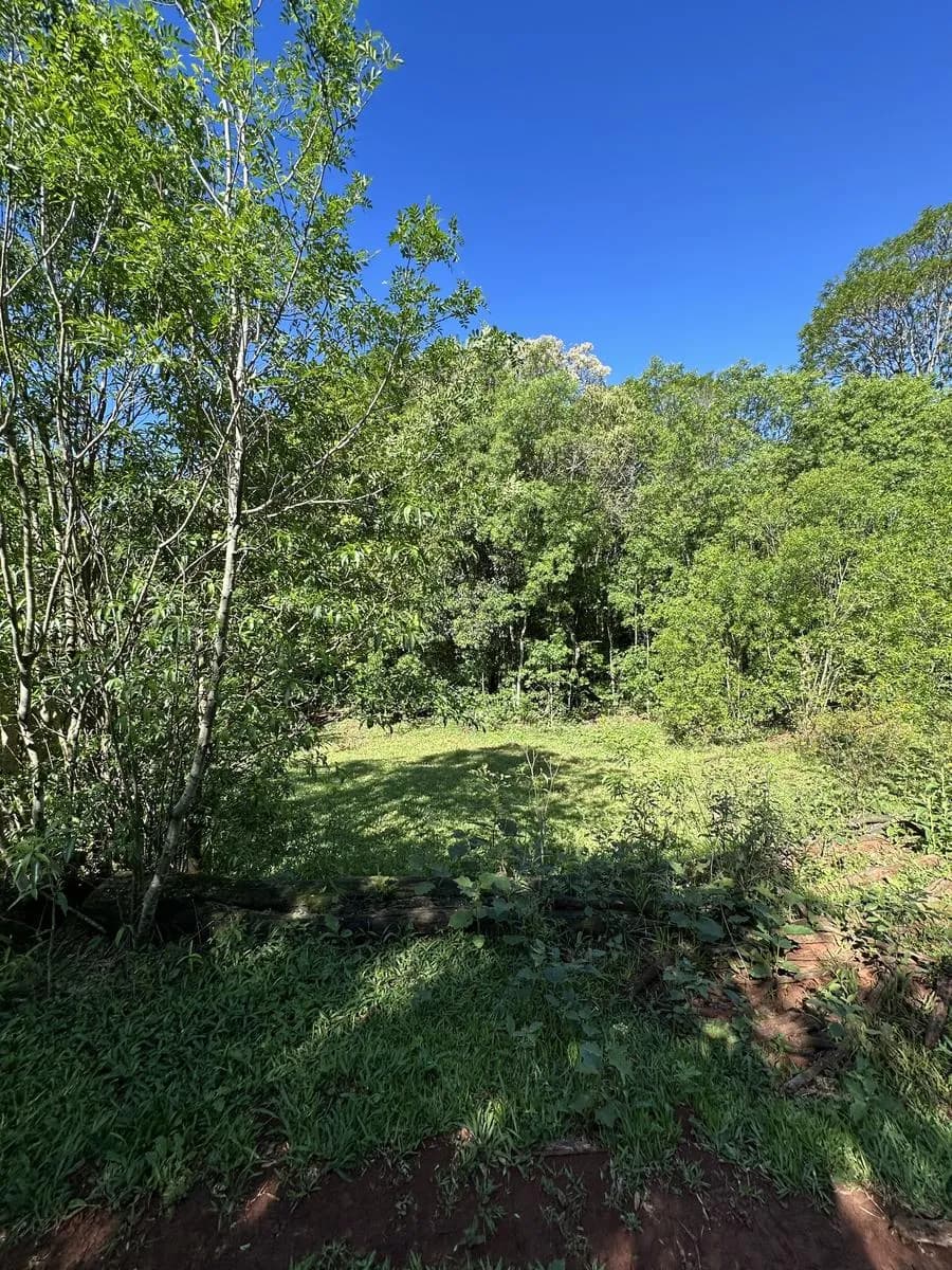 En Venta Chacra de 22,5 ha, en el km 50, Ruta 14, San Vicente, Misiones con Arroyo