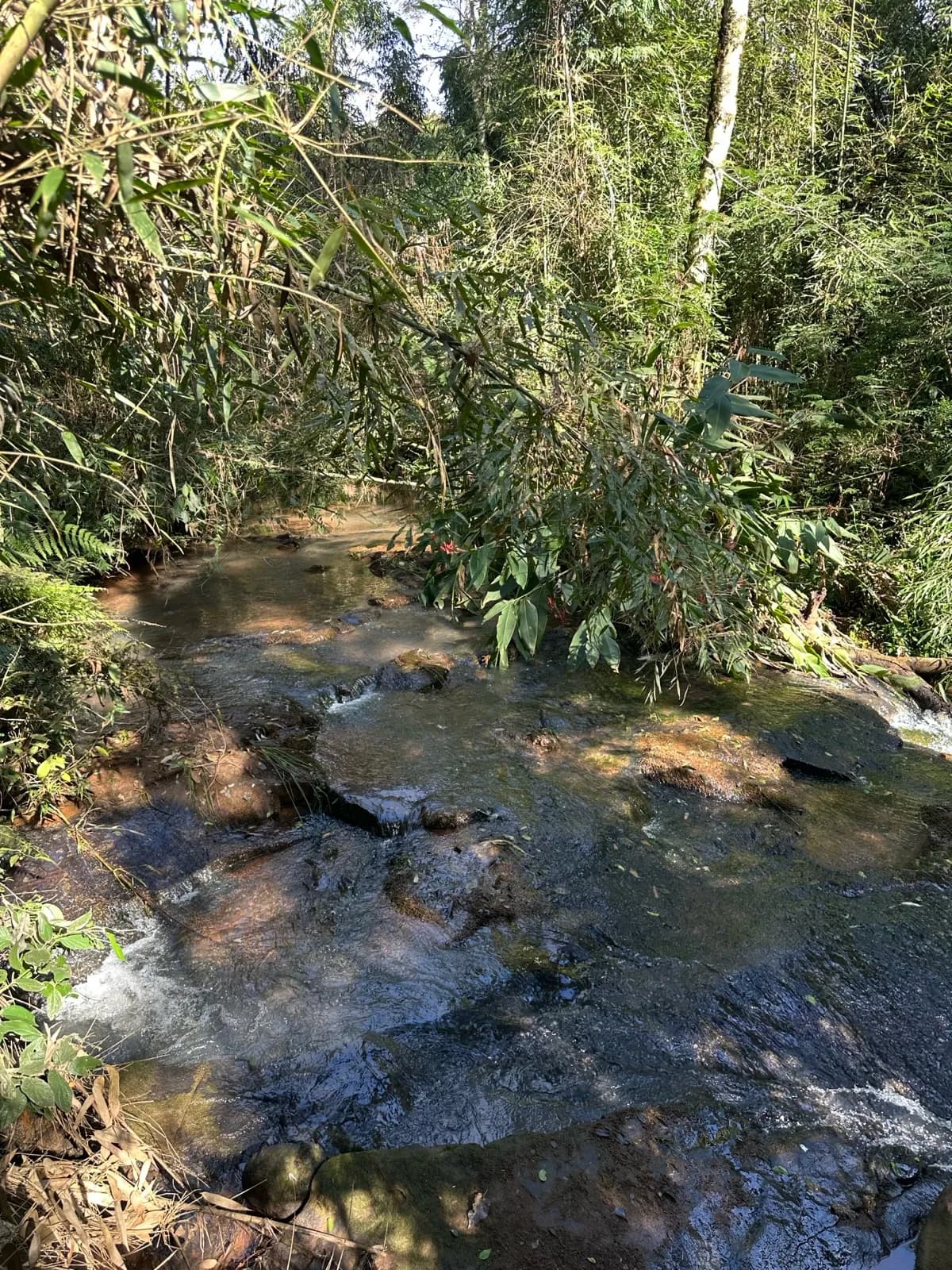 Chacra en venta en San Vicente