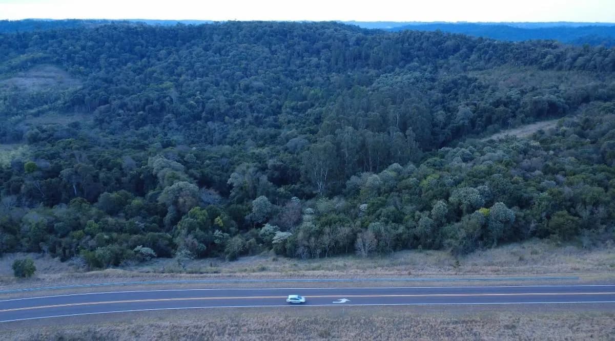 En Venta Chacra de 54 hectáreas con Casa sobre Ruta 14 en Piñalito Sur, Misiones