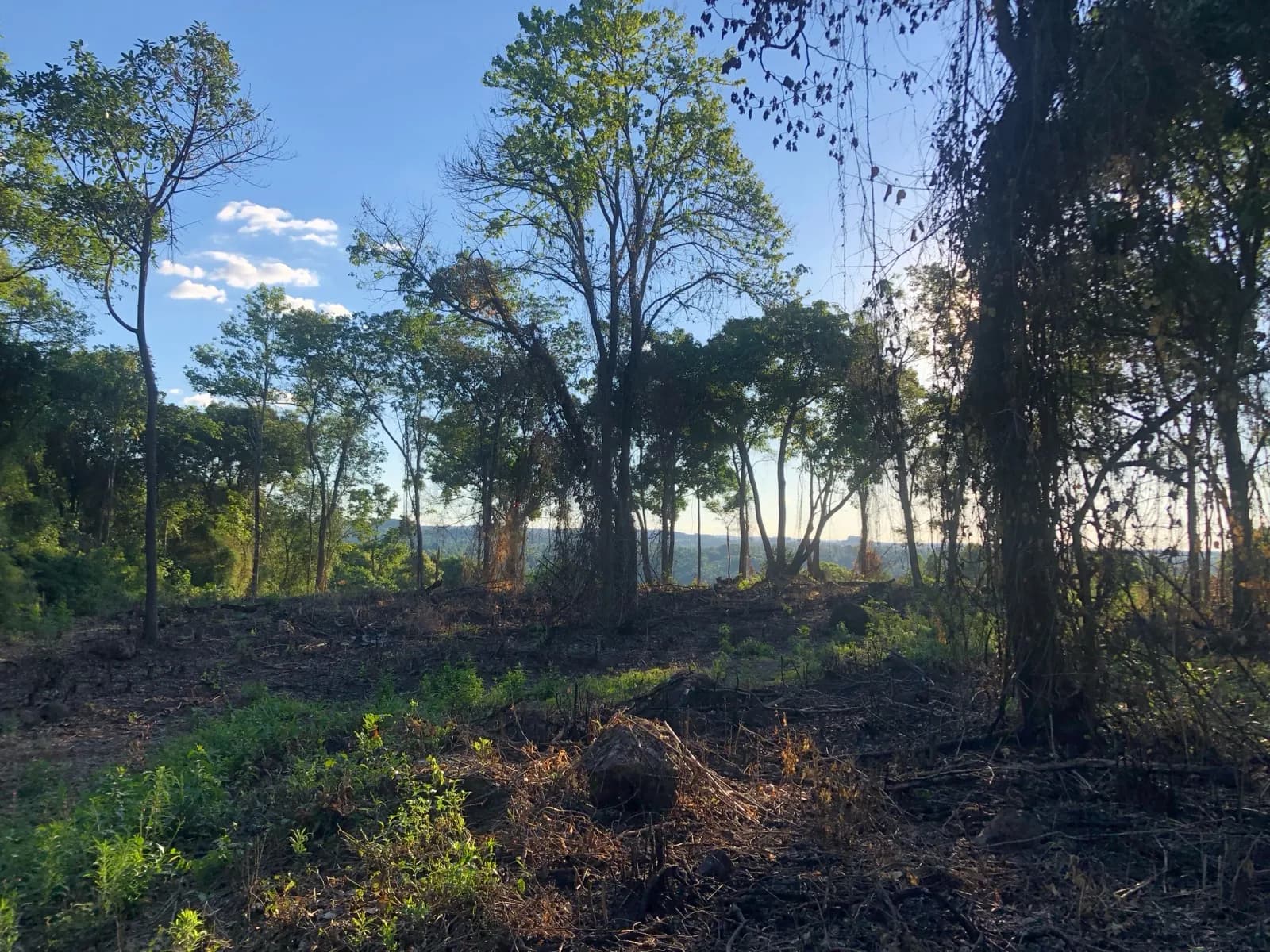 Chacra en venta en San Vicente