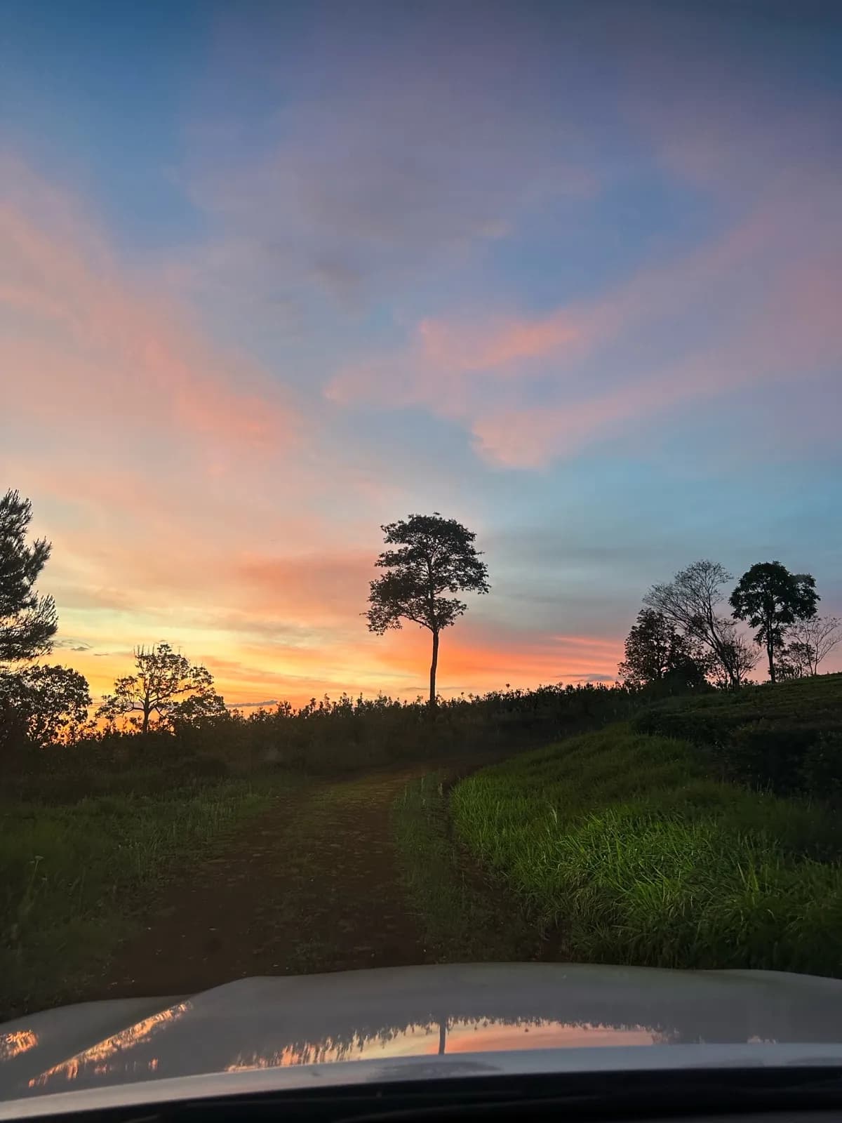 En venta Chacra de 60 hectareas, a 4000 metros de la Municipal de San Vicente, Misiones