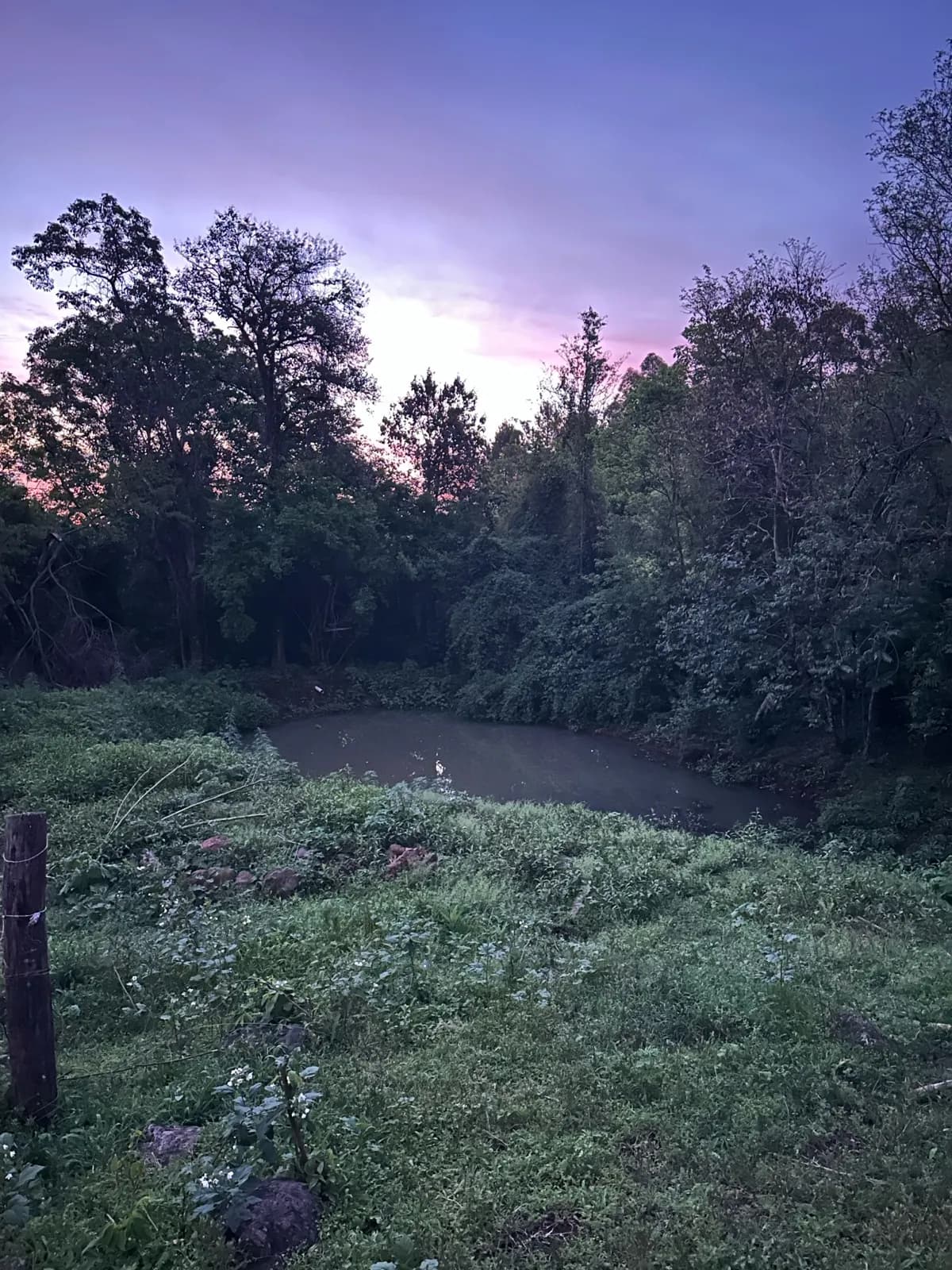 En venta Chacra de 60 hectareas, a 4000 metros de la Municipal de San Vicente, Misiones