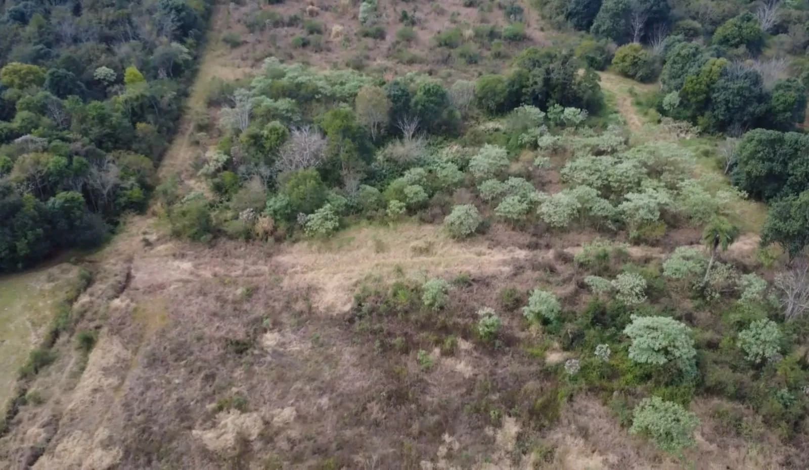 En Venta 3 ha en Zona Centro de El Soberbio para Loteo, Misiones