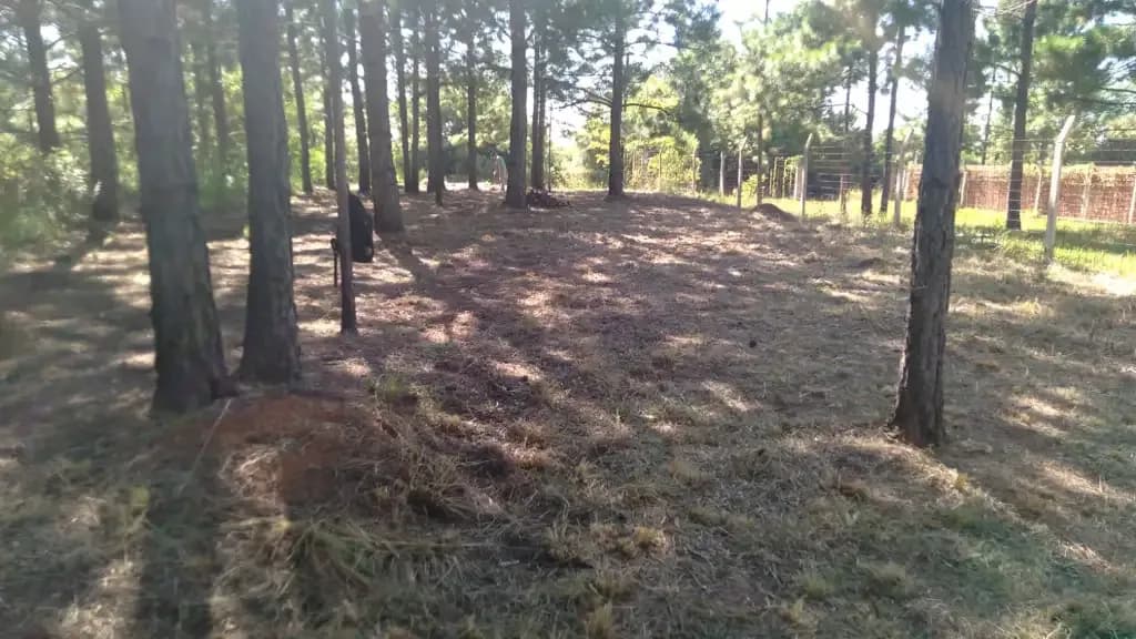 Terreno en venta en Candelaria