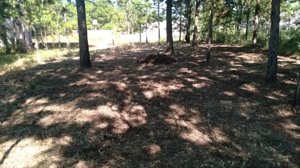Terreno - Barrio del Lago