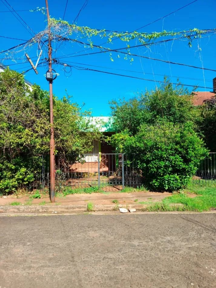 Casa rodeada de abundante vegetación