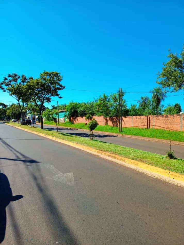 Calle asfaltada frente a terreno arbolado