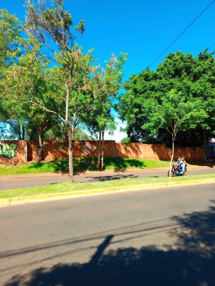 Terreno arbolado sobre calle asfaltada