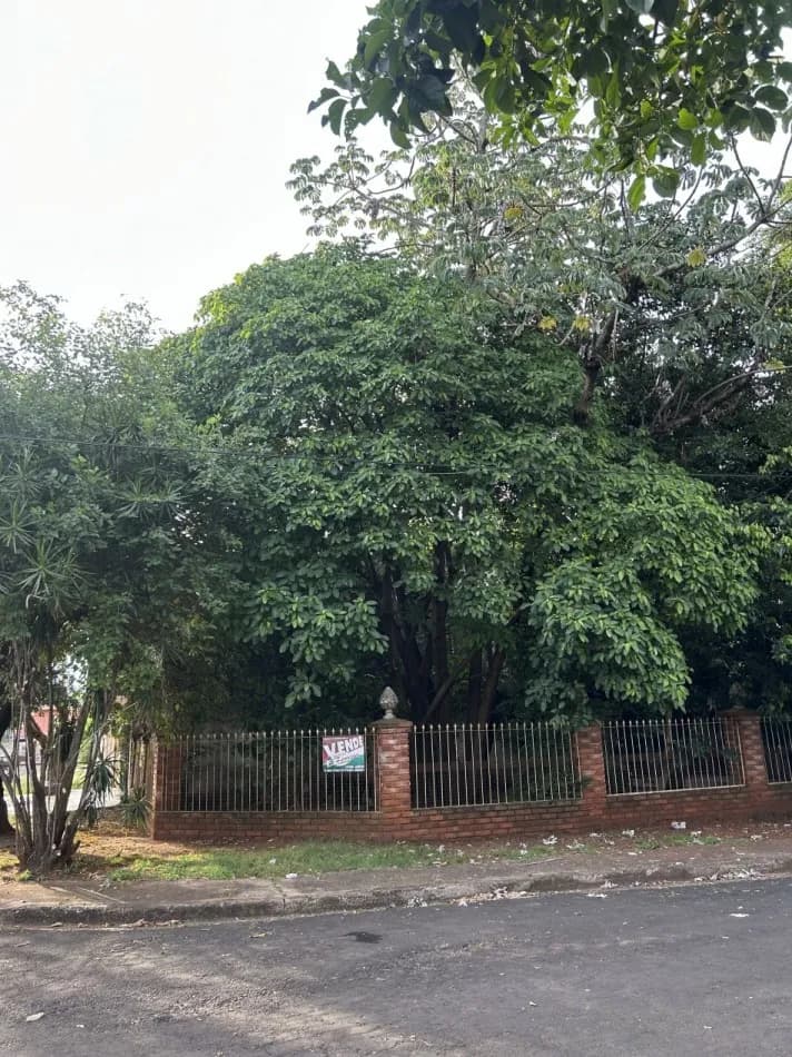 Terreno en venta con abundante vegetación