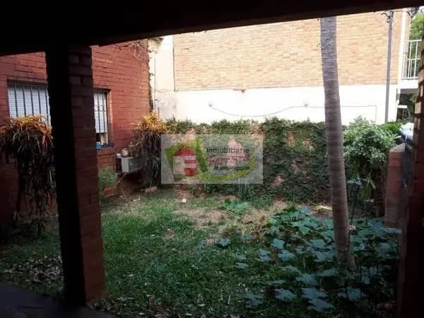 Patio trasero con césped y plantas